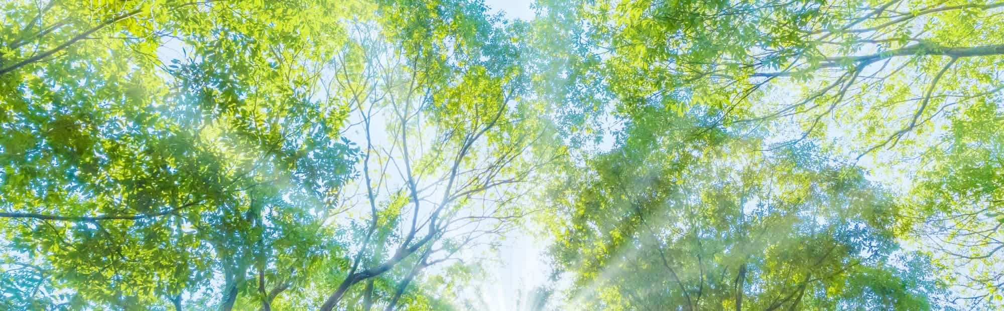 キービジュアルイメージ01